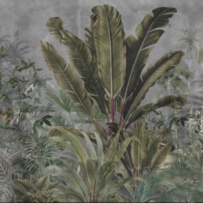 Tropical jungle wallpaper with large green leafy plants and trees, misty gray background, broad leaves, Ming Cacti, white flowers. Dense greenery with subtle details.
