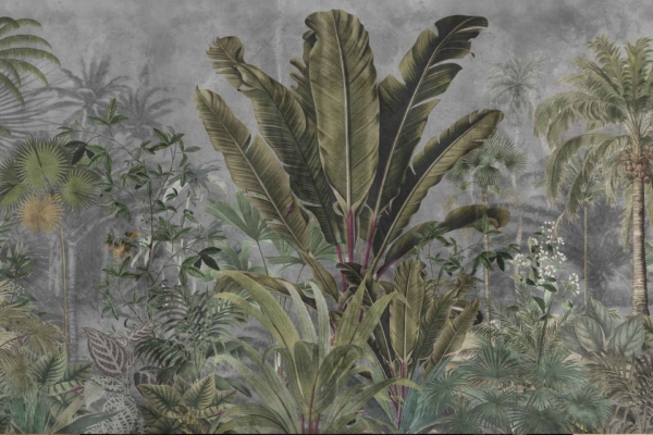 Tropical jungle wallpaper with large green leafy plants and trees, misty gray background, broad leaves, Ming Cacti, white flowers. Dense greenery with subtle details.