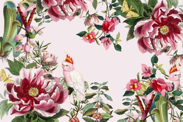 Exotic birds, butterflies, colorful flowers like peonies and roses frame a central empty space. Lush border with vibrant peonies creates intricate design for celebration. Rich hues of reds, pinks, blues, greens on detailed wallpaper.