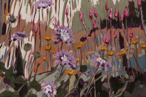 Wallpaper features vibrant wildflowers with Watsonias and Helichrysums, showcasing pink and purple blooms on long green stems. The background consists of earthy tones. Vibrant flowers and textured foliage stand out against the muted backdrop.