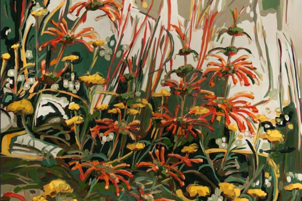 A vibrant wallpaper featuring a garden with red and yellow flowers, including Watsonias amidst lush green foliage. The loose, expressive brush strokes create a dynamic and almost abstract scene. Hints of white in the background add depth and contrast to the composition.