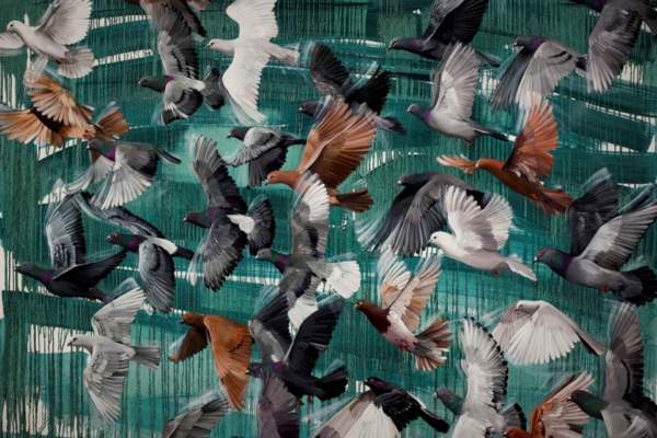 Wallpaper features a textured green background with varied plumage tones including white, gray, brown, and black. Elements include dynamic wing patterns and diverse bird positions creating a lively sense of movement.