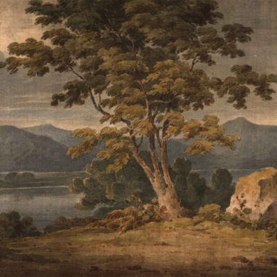 Wallpaper highlights a serene landscape with a large tree in the foreground, lush greenery, and a calm lake. Distant mountains are seen under a cloudy sky. Scattered rocks and shrubs add natural elements. Featuring green, blue, brown, and gray tones for realism.