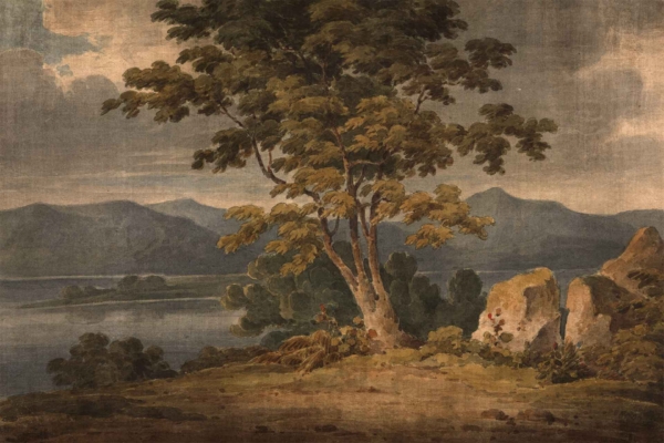 Wallpaper highlights a serene landscape with a large tree in the foreground, lush greenery, and a calm lake. Distant mountains are seen under a cloudy sky. Scattered rocks and shrubs add natural elements. Featuring green, blue, brown, and gray tones for realism.