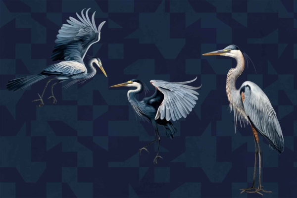 Wallpaper Description:
- Dark, geometric-patterned background
- Features intricate shapes and lines
- Dominant colors: deep blues, blacks, and hints of metallic silver
- Three herons depicted against the backdrop
- Poses: standing still, landing with wings partly spread, mid-flight with wings fully extended