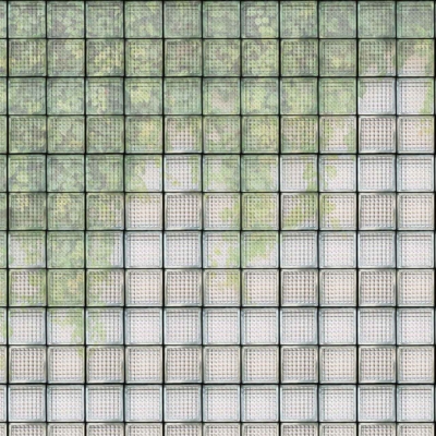 Wallpaper features numerous square glass blocks, discolored with green and white patches. Abstract moss/mildew pattern; charming decay reminiscent of vintage glass houses. Textured, weathered appearance with varying shades of green.