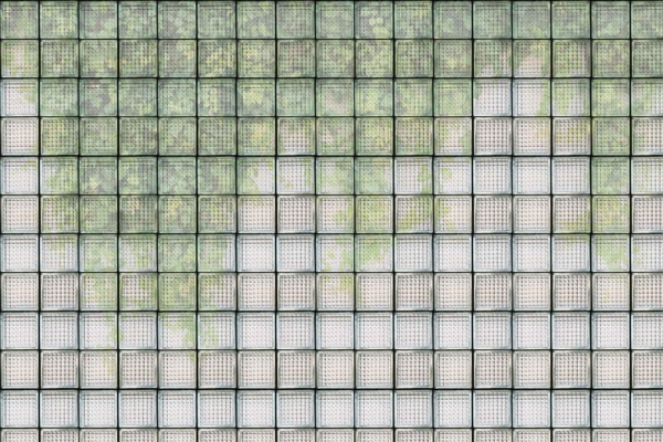 Wallpaper features numerous square glass blocks, discolored with green and white patches. Abstract moss/mildew pattern; charming decay reminiscent of vintage glass houses. Textured, weathered appearance with varying shades of green.