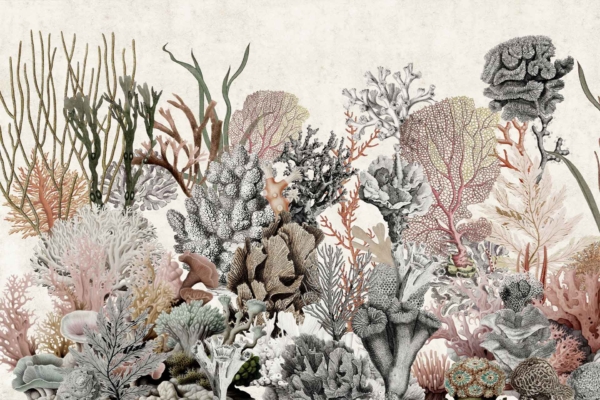 Intricate underwater scene wallpaper features vibrant coral in pink, orange, green, and beige hues. Seaweed and marine flora are interspersed among the coral on a light African Dream-like background.