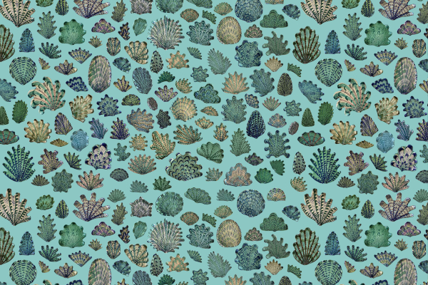 A seamless wallpaper pattern features intricately detailed coral designs in blue, green, and beige against a light turquoise background. The repeated coral images create a dense, dynamic underwater-themed display.