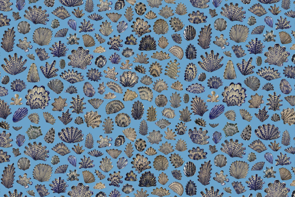 A seamless pattern of various blue and beige coral shapes on a light blue background. Elements include diverse coral illustrations varying in size and texture, creating an intricate marine-themed visual. Colors: light blue, dark blue, beige.