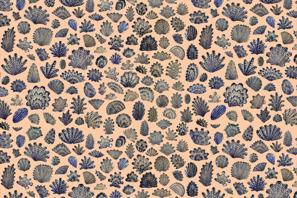 Intricate blue and gray coral and seaweed illustrations, light peach background, dense and evenly spaced marine-themed design.