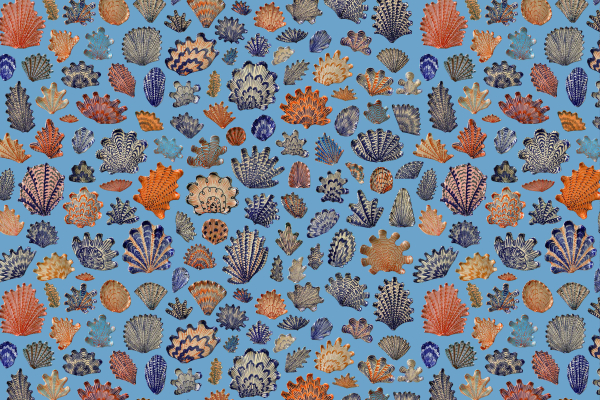 A vibrant light blue wallpaper featuring colorful coral illustrations in shades of orange, red, blue, and beige. The corals exhibit diverse shapes and textures, creating a lively marine theme. Perfect for adding an aquatic touch with bold hues and intricate designs.