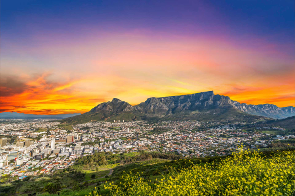 Breathtaking sunset in Cape Town wallpaper with vibrant orange and purple sky, iconic Table Mountain, cityscape below, and yellow flowers in the foreground.