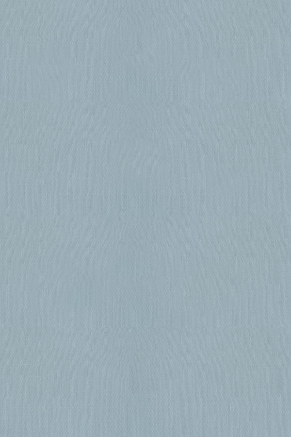 A seamless light blue textured wallpaper with a subtle horizontal and vertical linear pattern, mimicking a woven fabric appearance. The gentle texture provides depth and interest, retaining a simple and calming color scheme. Elements include:
- Light blue base color
- Subtle horizontal lines
- Subtle vertical lines
- Woven fabric-like texture
- Soft, calming tones
This wallpaper design is ideal for creating a soothing environment with visual interest.
