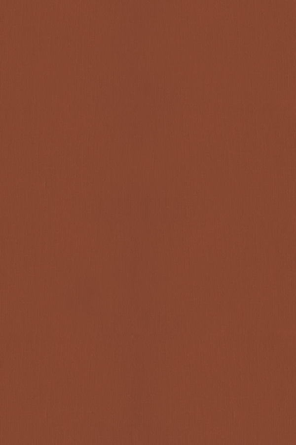 A solid reddish-brown textured wallpaper fills the entire frame, featuring a uniform and consistent appearance without distinct patterns or images.