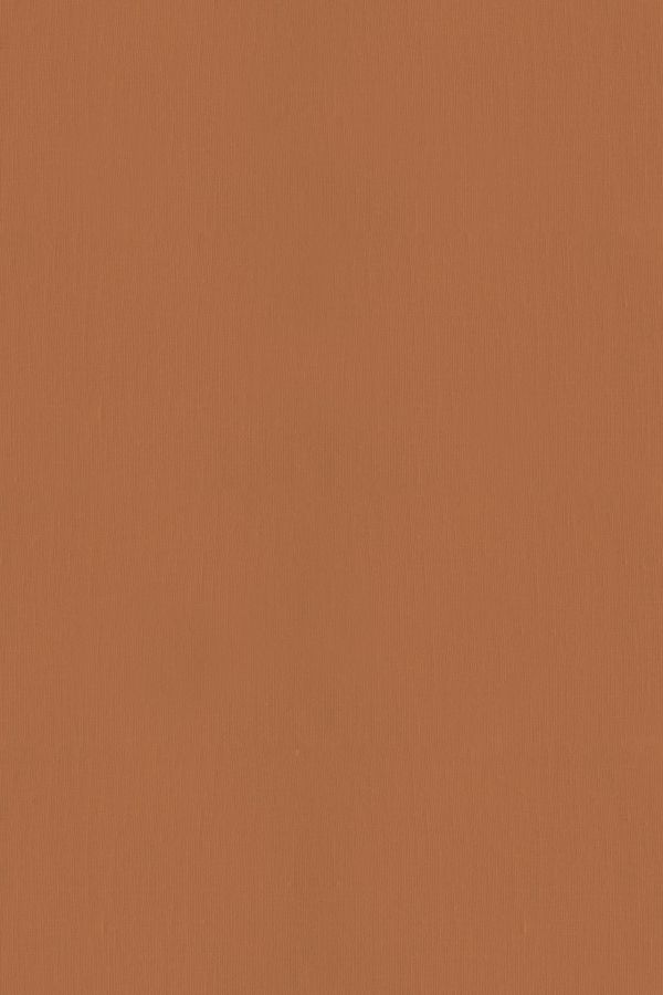 A vibrant, solid orange wallpaper with a consistent surface and a slightly grainy, canvas-like texture. No distinguishable patterns or images.