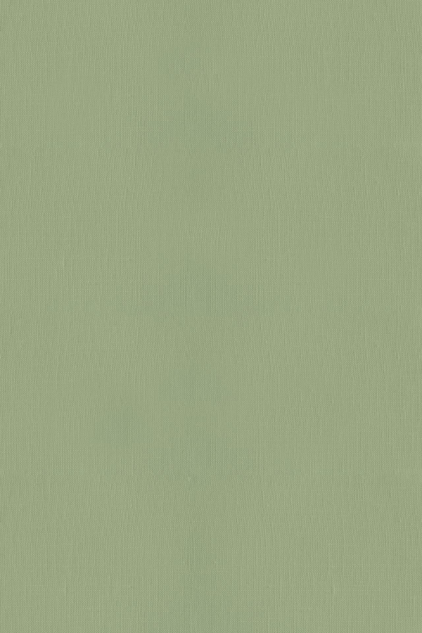 A close-up view of light green fabric texture wallpaper features a smooth surface with subtle, fine vertical lines from the weave. The appearance is soft and uniform with a consistent light green color.
