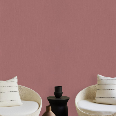 Minimalist living room wallpaper: muted rocksalt pink wall.