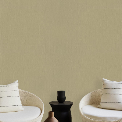 The wallpaper in the minimalist living room features a beige color that perfectly captures the essence of Wild Wonder. The design includes subtle patterns in soft earth tones, complementing the decor and adding a touch of natural elegance to the space. Look for elements like gentle swirls and leaf motifs in muted shades.