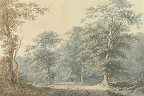 Wallpaper features: tall, lush green trees, sprawling branches, dirt path winding through center, single wooden chair at path's edge. Background: soft, misty blend of greens and browns. Evokes serene early morning nature ambiance.