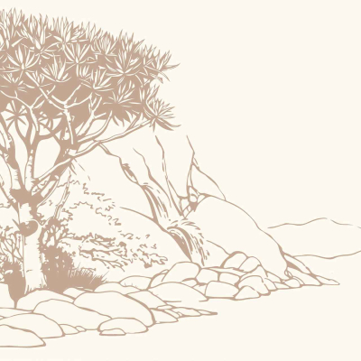 A minimalist, sepia-toned wallpaper with a tree featuring spiky leaves, surrounded by rocks and shrubs. The backdrop highlights a large, uneven rocky formation against a light beige background, evoking discovery in a tranquil landscape. Elements: spiky-leaved tree, rocks, shrubs, uneven rocky formation. Colors: sepia tones and light beige.