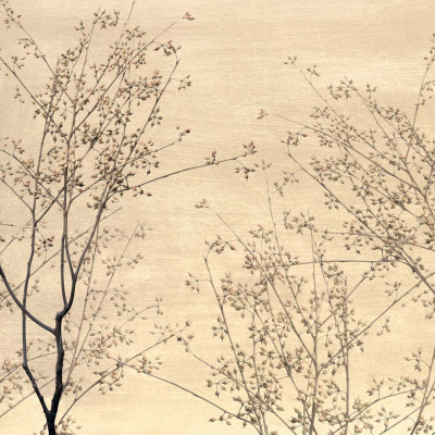 A minimalist wallpaper features thin, spindly branches with small buds set against a beige background. The delicate branches create an intricate, lace-like pattern. Colors include beige, soft browns, and subtle greens.
