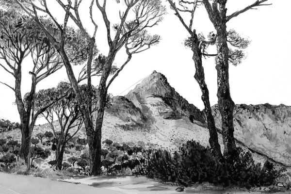 Black and white ink drawing, mountainous landscape, tall trees in the foreground. Trees frame distant, rugged peak prominent against sky. Terrain with scattered shrubs, textured sloping hillside. For wallpaper search: monochrome nature scene, mountain peak, tree silhouettes, sloping hill texture.