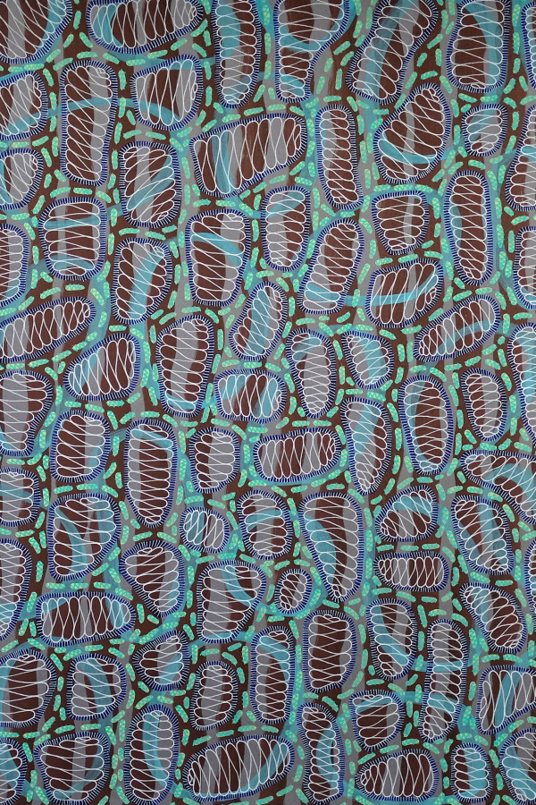 Abstract artwork wallpaper featuring intricate, organic shapes and patterns in turquoise, brown, white, and black. Layered spirals and loops resemble cells or microorganisms, creating a visually dynamic and vibrant composition.