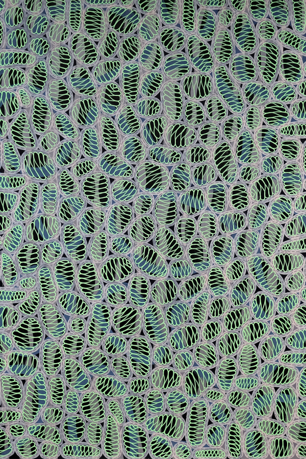 Abstract pattern wallpaper featuring green, black, and blue curvilinear shapes. The tightly knit, overlapping design resembles organic cells or leaf structures, creating a textured and intricate visual effect. Muted and earthy tones dominate the palette. Elements include organic patterns, cell-like structures, and leaf motifs in calming hues of green and blue with accents of black.
