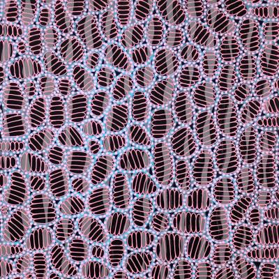 This abstract artwork showcases a visually captivating wallpaper pattern featuring black, oval shapes interspersed with delicate blue and pink dotted lines. The intricate design creates an engaging sense of movement and depth, making the wallpaper’s composition both dynamic and eye-catching. The juxtaposition of stark black ovals with vibrant blue and pink accents enhances the overall aesthetic, ensuring that each element stands out while contributing to the harmonious complexity of the piece. Ideal for enhancing modern interiors with its striking yet elegant appeal.