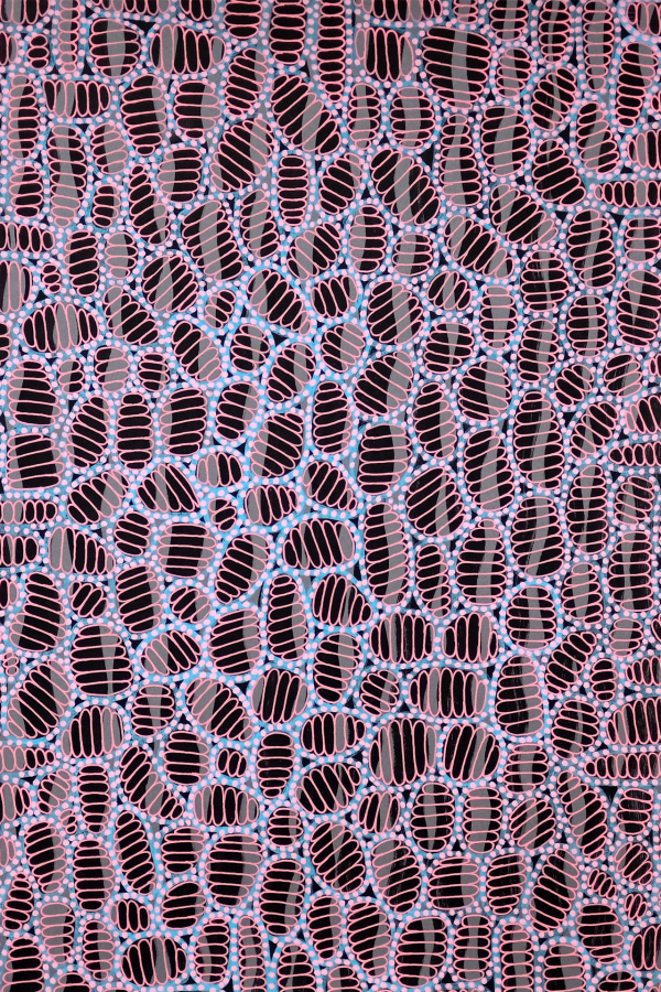 This abstract artwork showcases a visually captivating wallpaper pattern featuring black, oval shapes interspersed with delicate blue and pink dotted lines. The intricate design creates an engaging sense of movement and depth, making the wallpaper’s composition both dynamic and eye-catching. The juxtaposition of stark black ovals with vibrant blue and pink accents enhances the overall aesthetic, ensuring that each element stands out while contributing to the harmonious complexity of the piece. Ideal for enhancing modern interiors with its striking yet elegant appeal.