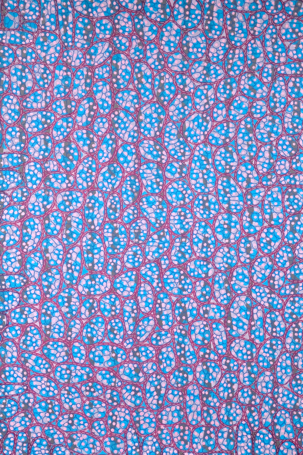 A fabric pattern with vibrant and intricate design, featuring interconnected blue and white shapes resembling cellular structures, outlined in red lines on a lavender background. Repeating motifs create visually stimulating and abstract appearance." 

Colors: Blue, White, Red, Lavender. 

Elements: Interconnected shapes, Cellular structures, Outlined designs, Repeated motifs.