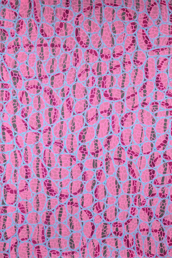 Create an abstract wallpaper pattern featuring a network of pink, purple, and light blue shapes. The design showcases an organic, cellular appearance with interconnected, irregular forms overlapping dynamically. Highlighted elements: pink shapes, purple shapes, light blue shapes, organic design, cellular pattern. Perfect for search results focusing on vibrant and dynamic abstract wallpapers.