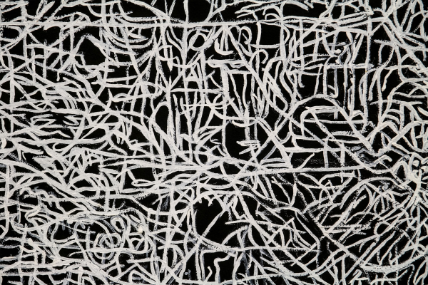 Abstract wallpaper featuring a black background adorned with intricate white lines and squiggles. The chaotic, overlapping lines form a complex web-like pattern that engages the viewer's eye. The contrast between the black backdrop and the detailed white design enhances its visual impact, making it an intriguing focal point for any space. Perfectly captures contemporary minimalist aesthetics.