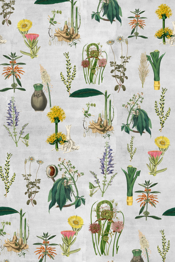Seamless botanical wallpaper featuring detailed illustrations of flowers, leaves, roots, and plants on a light gray background. Vibrant colors include yellow, green, purple, and pink randomly arranged throughout.