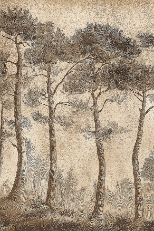A sepia-toned forest wallpaper features tall, slender trees with long trunks and sparse branches. The foliage is concentrated at the top. Background elements include soft shadows and textures, providing depth and tranquility.