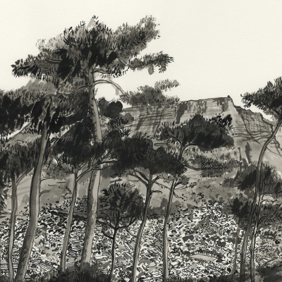 Foreground features tall, slender trees depicted in black ink, providing an intricate texture against the stark white background. In the background, rough and rugged mountainous terrain is illustrated with bold ink strokes, suggesting Cape Town's iconic landscape. The artwork uses high contrast between black and white to emphasize serene natural beauty and invites recreation and reflection. Key elements include texture-rich trees, rugged mountain motifs, strong contrast of black ink on white paper—perfect for a search highlighting ink illustrations of nature-inspired landscapes.