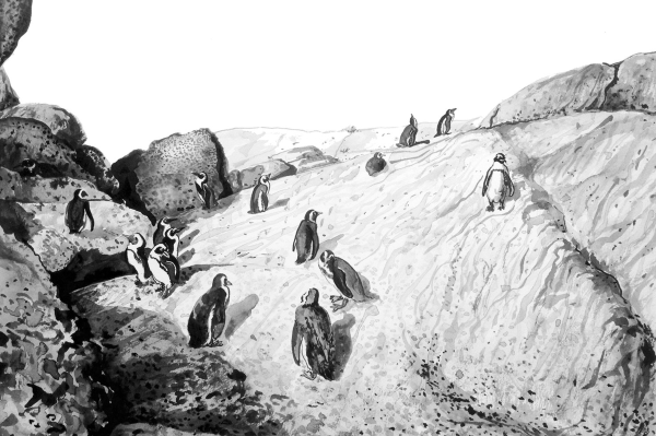 Black and white illustration; snowy terrain; penguins; rocky landscape; standing penguins; walking penguins; sitting penguins; large boulders.