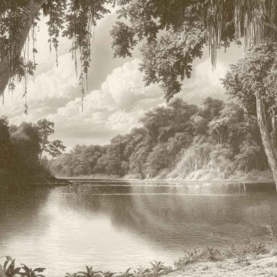 Sepia-toned wallpaper features a serene river winding through a dense tropical forest. Tall trees with hanging vines frame the riverbanks. Puffy clouds mirror on the calm water. Lush vegetation showcases intricate natural designs, creating a vivid, harmonious scene. Key elements: sepia tone, river, tropical forest, hanging vines, mirrored clouds, lush vegetation.