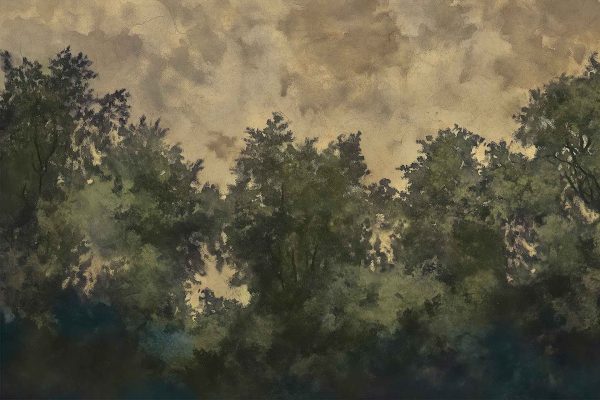 Wallpaper: Dense grove of trees, varying shades of green foliage, cloudy muted sky, serene natural landscape, timeless grace, classic painting aesthetic.