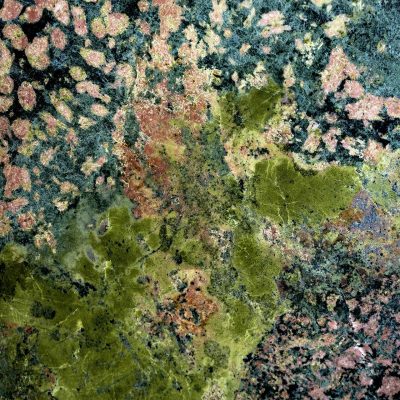 Abstract image featuring green and orange textured patterns resembling moss or lichen on a stone surface, with subtle enhancements of blue. The earthy, natural appearance is achieved through varied shapes and spots where the colors intricately blend into each other. Elements include textured surfaces, organic shapes, vibrant yet muted hues, and a harmonious interplay of nature-inspired colors: green, orange, and blue.