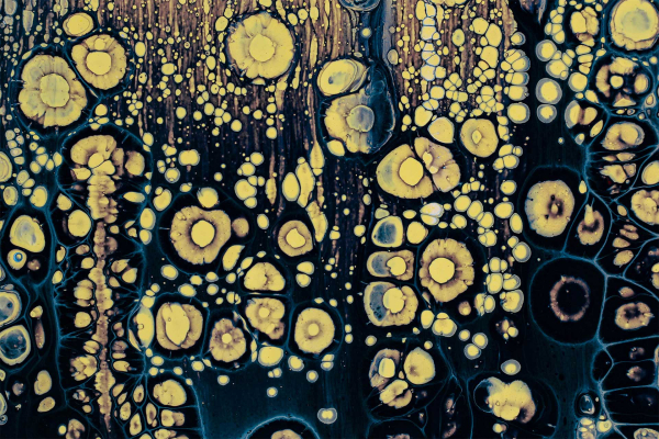 Abstract wallpaper featuring a vibrant pattern of yellow circular shapes resembling cells or bubbles set against a dark blue and black background. This organic and fluid composition captures the essence of tropical beauty, highlighted by contrasting hues and dynamic forms. Elements include: yellow circles, dark blue-black backdrop, organic patterns, cell-like structures, and fluid design. Perfect for searches related to abstract art with tropical themes or contrasting color palettes.