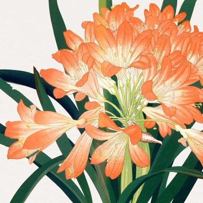 Wallpaper features bright orange lilies with long, lush green leaves on a crisp white background. The flowers boast trumpet-shaped petals and distinctive yellow-tipped stamens, exuding an Art Deco elegance. Elements include: orange lilies, green leaves, white backdrop, yellow stamens, and Art Deco inspiration.