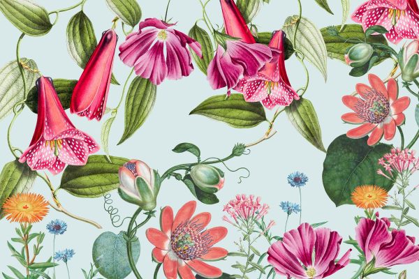 Wallpaper design features vibrant pink, red, and orchid flowers, including bell-shaped and daisy-like blooms. Interspersed green leaves add contrast on a light blue background. Key elements: vibrant pink flowers, red flowers, orchid flowers, bell-shaped blooms, daisy-like blooms, green leaves, light blue background.