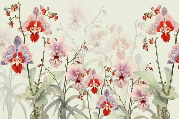 **Wallpaper Illustration:**

- **Background**: Pale, subtle, allowing the vibrant colors to stand out.
- **Primary Elements**:
  - **Orchids**: Shades of red and pink.
    - **Flower Details**: Intricate patterns on petals.
  - **Leaves and Stems**: Rich green hues.
- **Arrangement**: Orchids interspersed with smaller buds, creating a dynamic yet balanced design.