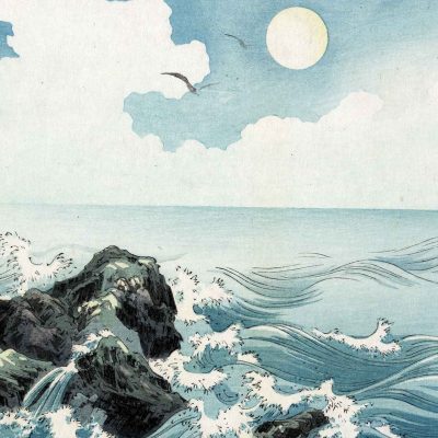 Wallpaper features rocky formations, crashing waves, ocean breeze, serene surface. Overhead: two gliding seagulls, sky with clouds, bright sun. Colors: blue, white, gray, shades of brown and green.