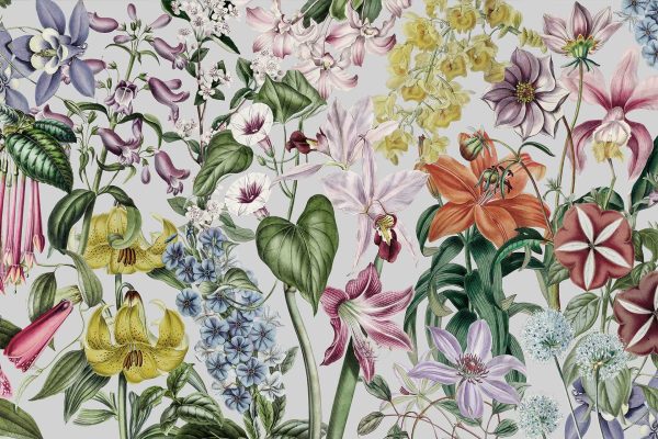 Wallpaper featuring a vibrant floral tapestry teeming with lilies, orchids, and daisies. The design bursts with shades of purple, yellow, pink, and orange, resembling a colorful tidal pool. Set against a light background to accentuate the lush arrangement. Keywords: flowers wallpaper, vibrant lilies orchids daisies design, purple yellow pink orange floral arrangement background.