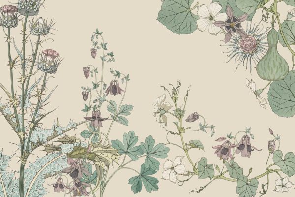 Illustrated botanical wallpaper features a lush array of plants with vibrant green leaves and intricate, colorful flowers. Thistles with purple blooms, delicate columbines in shades of blue and white, and exotic passionflowers highlighted in striking purples and oranges are prominently displayed. These elements contrast beautifully against a soft beige background, creating an elegant design that emphasizes the natural beauty of each plant. Colors to note include rich greens, purples, blues, whites, and oranges set on beige.