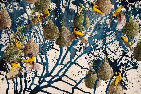 A dynamic wallpaper showcases vibrant messenger birds in a flurry, weaving effortlessly around hanging nests. The background is an abstract tapestry with bold splashes of blue and black, creating a striking contrast. Swirling brushstrokes infuse the scene with energy, mirroring nature’s intricate patterns. Elements include vivid bird illustrations and delicate nest motifs set against a backdrop of expressive blue and black swirls, creating an energetic yet harmonious environment. Keywords: messenger birds, hanging nests, abstract background, blue splashes, black accents, swirling brushstrokes.
