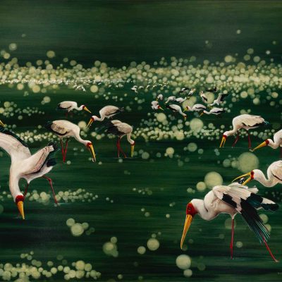 Wallpaper features multiple white storks with distinctive red and yellow beaks wading through a dark green, water-like surface. The background is adorned with glowing circular light orbs, creating a magical and dreamy ambiance. Key elements include: white storks, red beaks, yellow beaks, dark green waterlike surface, glowing circles, light orbs, magical background.